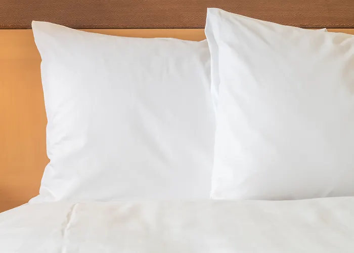 Crowne Plaza Albany - The Desmond Hotel